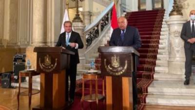 وزير خارجية باكستان يلتقى الرئيس السيسى.. وشكرى يؤكد وجود رغبة مشتركة لتعزيز العلاقات