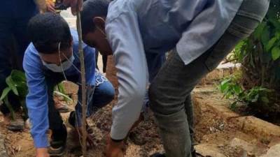 وزيرة البيئة تستعرض مشاركة الوزارة في مبادرة حياة كريمة بالفيوم