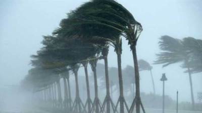 تعرف على درجات الحرارة المتوقعة واماكن الشبورة اليوم 23 ديسمبر