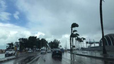 انخفاض بالحرارة وأمطار تصل للقاهرة .. تعرف على الطقس غدا