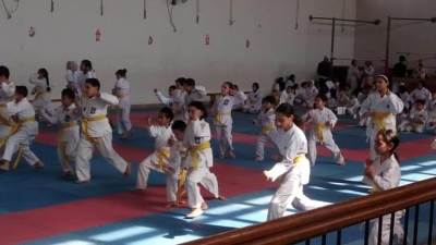 بالصور.. تعرف على النشرة الإسبوعية لمنتديات الشباب