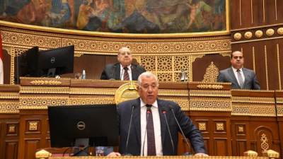 تعرف على كلمة وزير الزراعة في مجلس الشيوخ اليوم