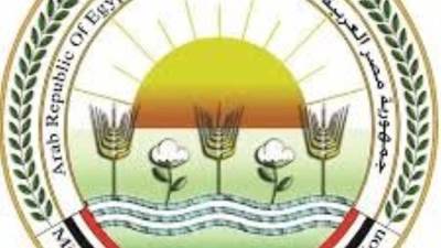 «القصير» يشجع المزارعين للانضمام لمنظومة الزراعة في الذرة والفول الصويا وعباد الشمس