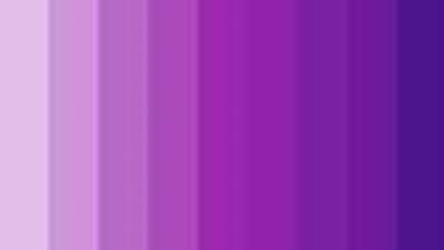 لماذا اللون البنفسجي ليس موجوداً في علم أي دولة !؟