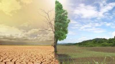 "فاو" تحذر من كارثة في سوريا بسبب تغير المناخ.. ما هي؟