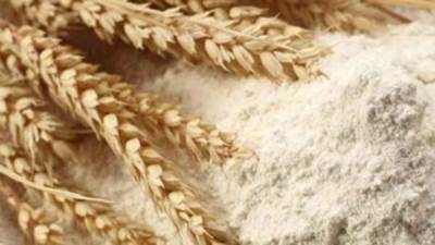 "التموين" :تسليم الدقيق الفاخر 72% للمخابز المرخصة بسعر 10 آلاف جنيه للطن