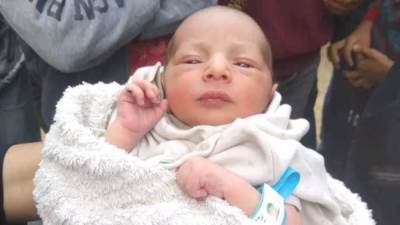 العثور على طفل رضيع في مقابر قرية بلبيس بالشرقية