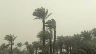 الأرصاد: طقس اليوم معتدل نهارًا مائل للبرودة ليلًا