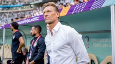 "أنا فرنسى وجواز سفرى فرنسى".. رينارد يدعم المغرب على حساب الديوك