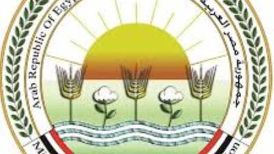 "الزراعة" تواصل ضخ المنتجات والسلع الغذائية بمنافذها بأسعار مخفضة