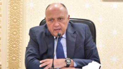 وزير الخارجية: سنلاحق الآثار المهربة في كل الدول