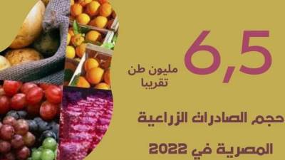 لأول مرة في تاريخها.. الصادرات الزراعية المصرية بلغت 6.5 مليون طن تقريبا