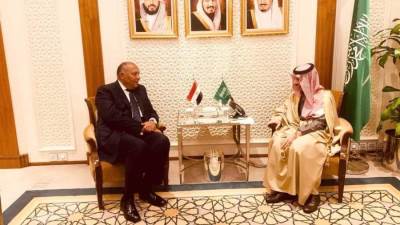 وزير الخارجية المصري والسعودي يفتتحان ملف سد النهضة ويصدران بيانا مشترك