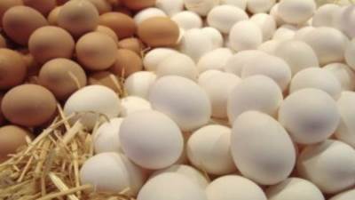 الغرف التجارية: انخفاض أسعار الدواجن والبيض قبل شهر رمضان