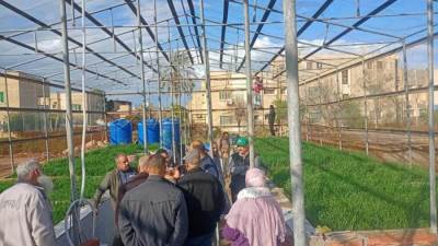 وزارة الزراعة تطمئن على القمح والمحاصيل الشتوية وبرامج إنتاج التقاوي