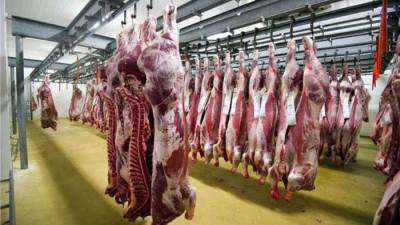 الحكومة تنفي استيراد شحنات لحوم مصابة بجنون الأبقار وطرحها بالأسواق