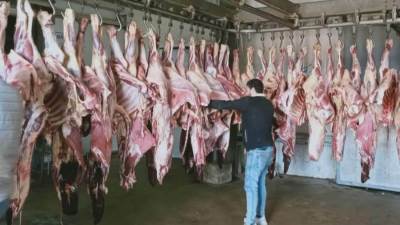 التموين: ضخ من25 إلى30 طنًا من اللحوم سودانية يوميًا بسعر 165 جنيهًا