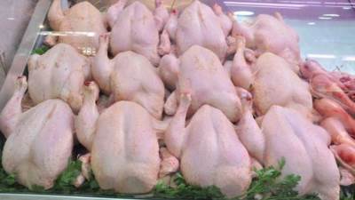 تعرف علي أسعار الدواجن اليوم الثلاثاء 14 مارس 2023