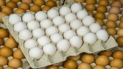 التموين: سعر طبق البيض 85 جنيها وكيلو اللحوم البلدي 190 بمعارض أهلا رمضان