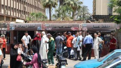 الزراعة: اللحوم متوفر فى منافذ الوزارة الثابتة والمتحركة بـ225 جنيها للكيلو