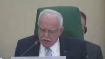 وزير خارجية فلسطين: آلة الحرب الإسرائيلية قتلت مايزيد علي 1300 طفلا