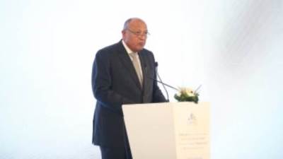 وزير الخارجية: أحداث القتل المؤسفة فى غزة لا يمكن تبريرها