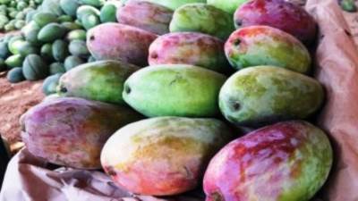 239 مليون دولار زيادة بصادرات مصر من السلع الزراعية عام 2023