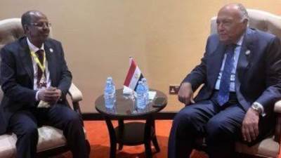 شكري يبحث مع نظيره الجيبوتى تطورات الأوضاع فى السودان والصومال