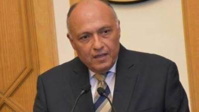 وزير الخارجية وعدد من الوزراء العرب يناقشون الوضع في غزة ومستقبل التعامل مع فلسطين