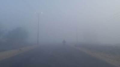 طقس اليوم.. شبورة صباحا ومائل للدفء نهارا والعظمى 21 درجة والصغرى 12