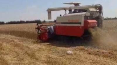 وزارة التموين: ارتفاع توريد القمح المحلى من المزارعين لـ 1.5 مليون طن حتى الآن