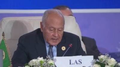 أبو الغيط للقاهرة الإخبارية: "الدولة الفلسطينية مسألة وقت قريب"