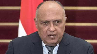 شكري: يجب التصدي لمحاولات إسرائيل الرامية لتصفية القضية الفلسطينية